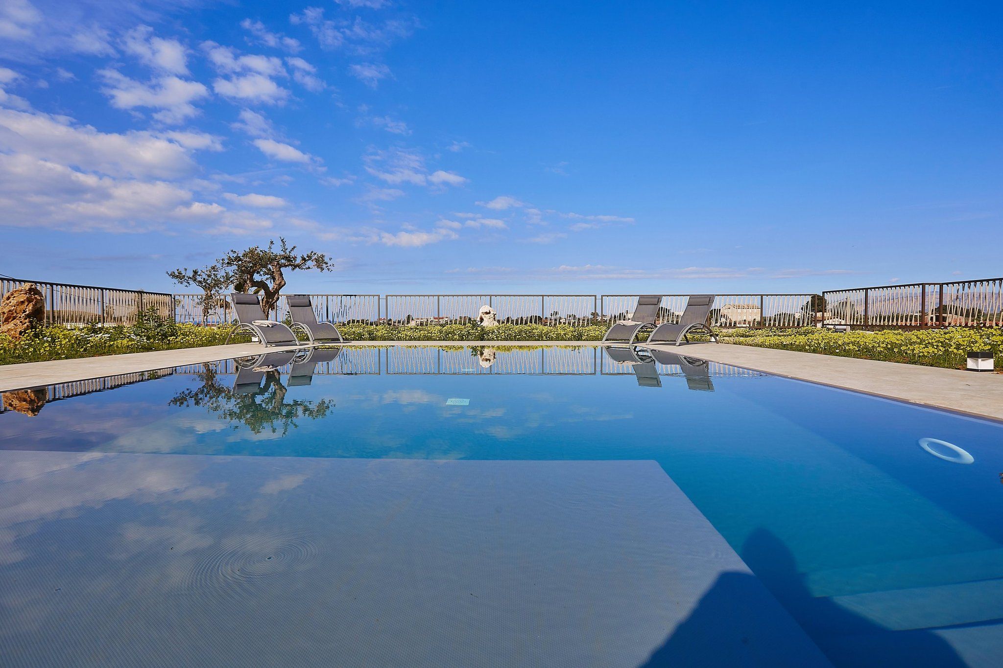 A clear blue pool with lounge chairs and a tree in the center.