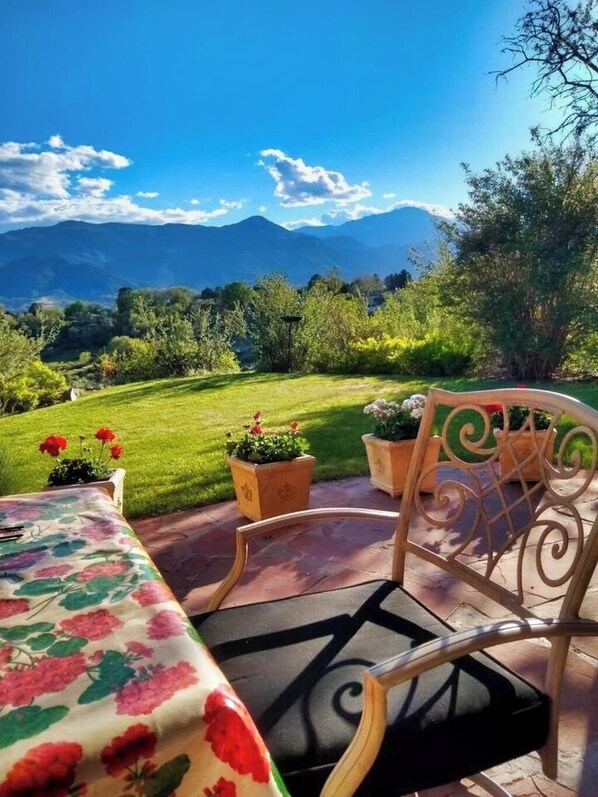 Terraza o patio