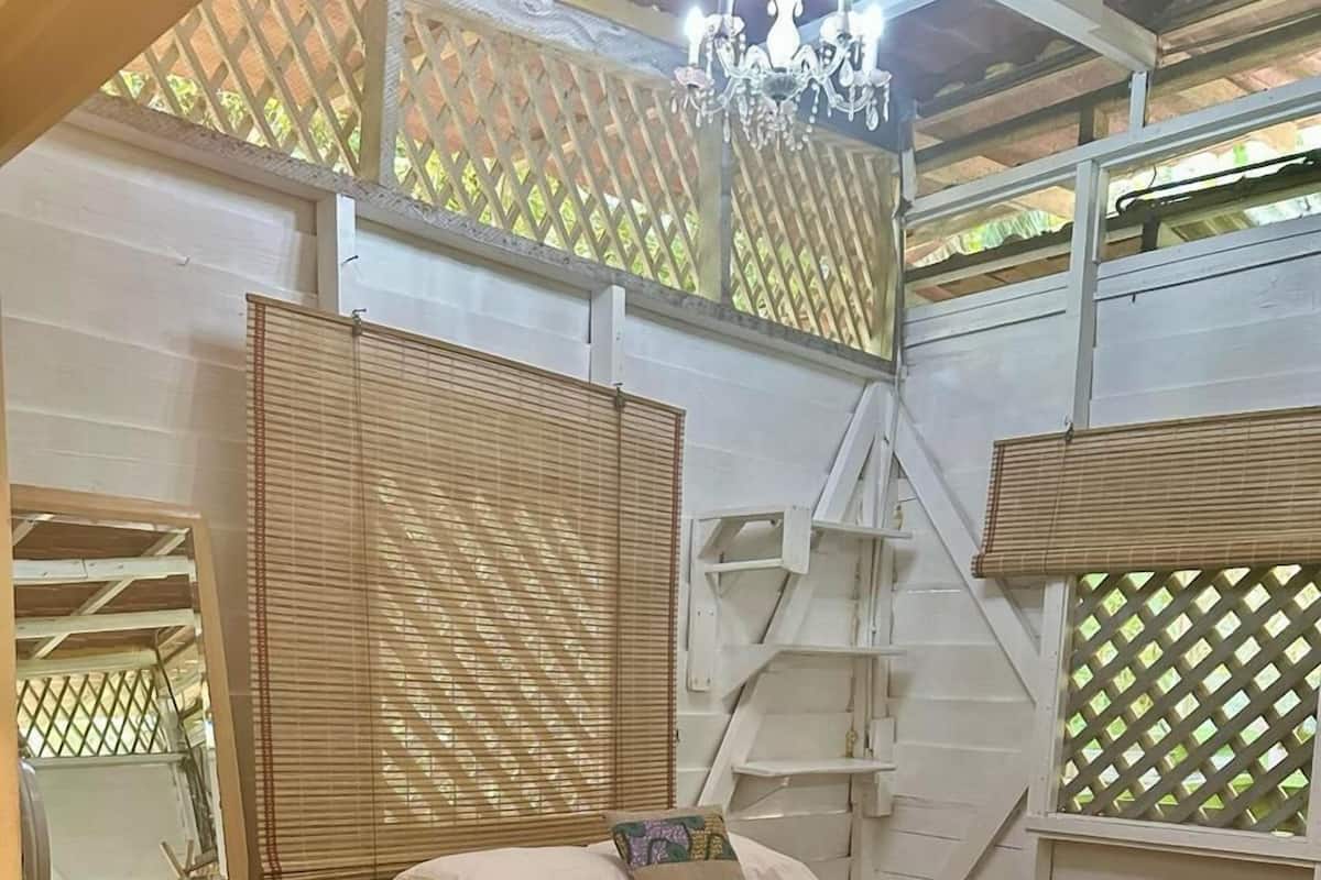 واي فاي مجانًا