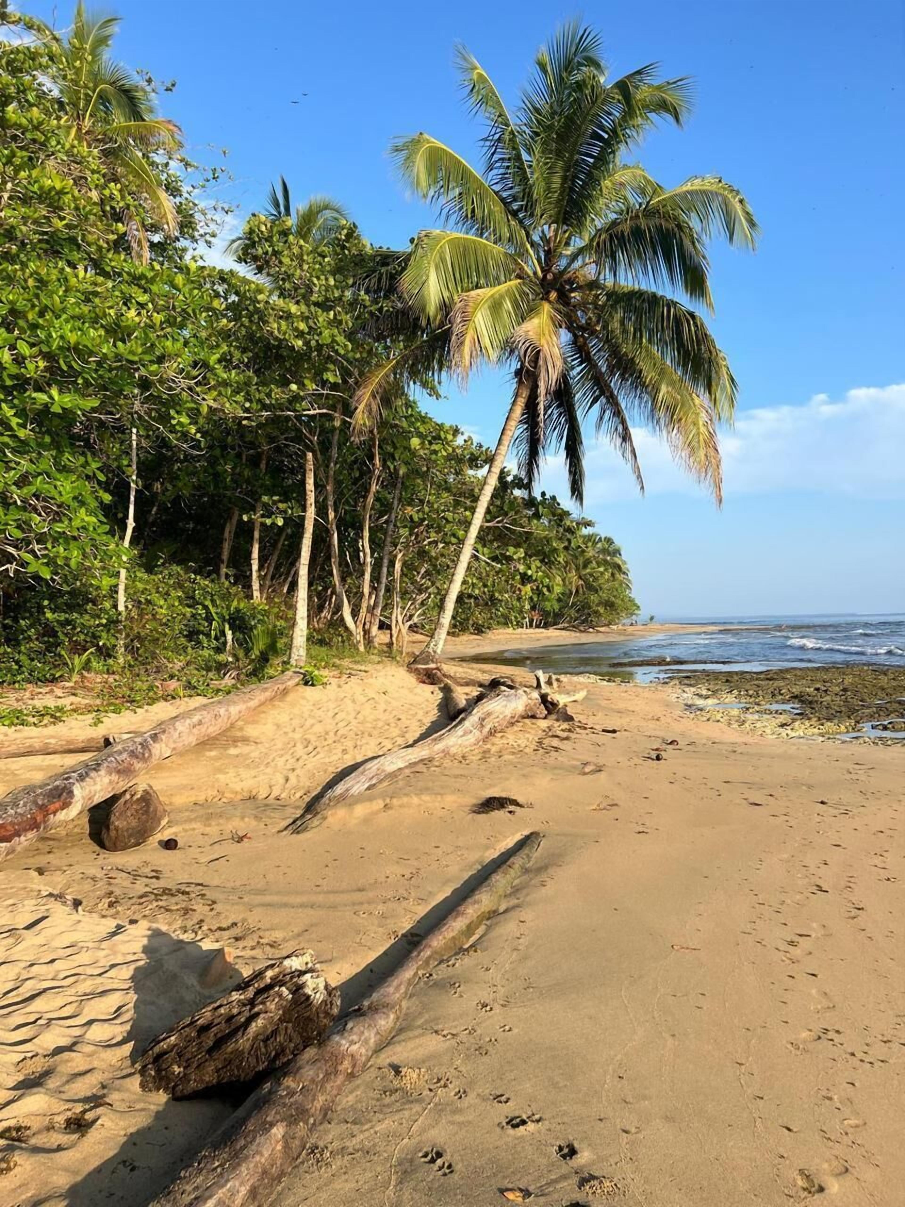 位於海灘上、白沙