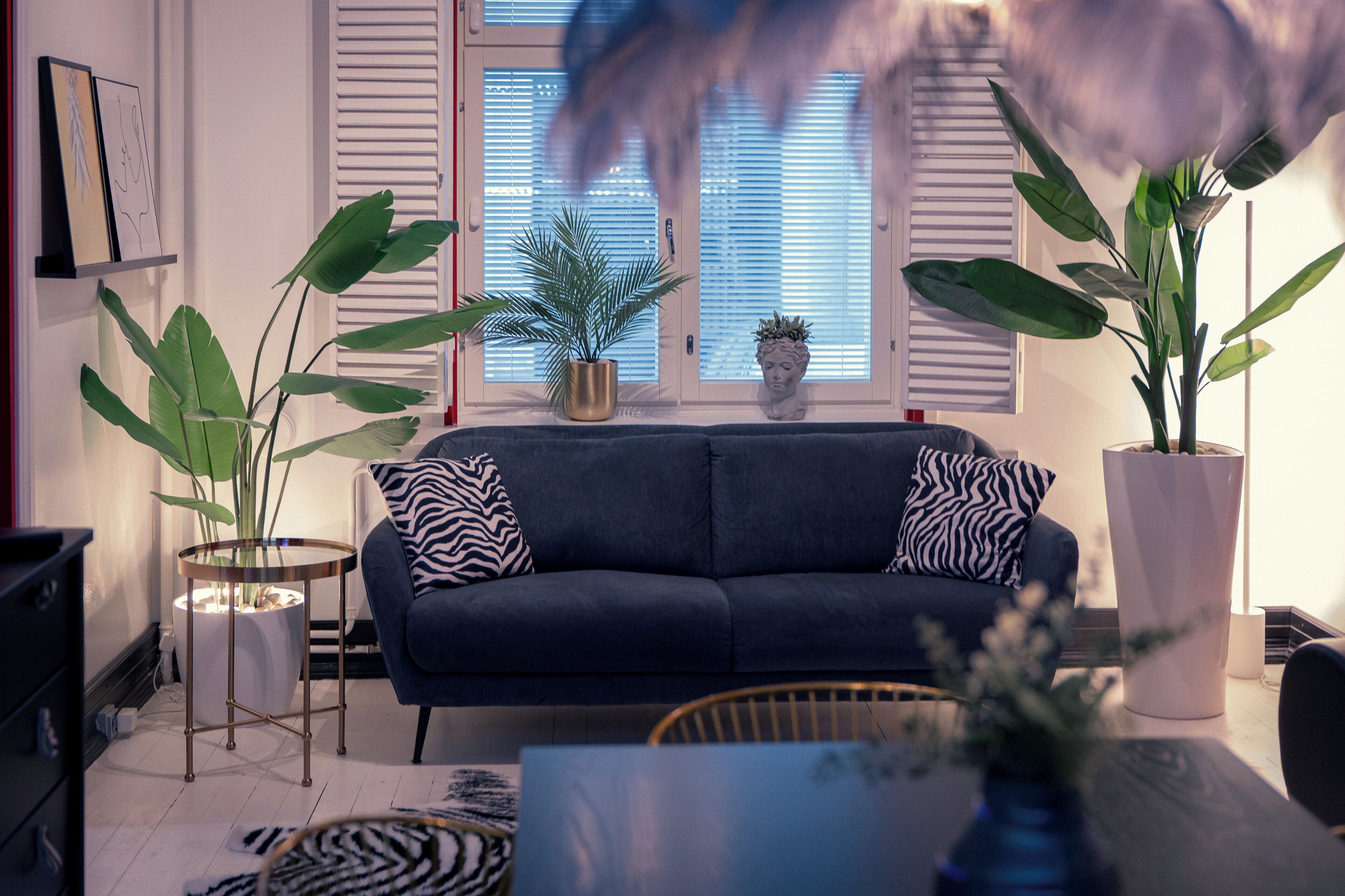 Exclusive Apartment | Living area