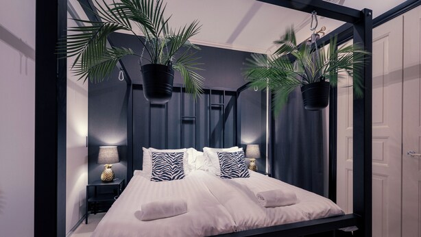 Ein modernes Schlafzimmer mit einem Bett, zwei Nachttischen, einer Nachttischlampe und zwei hängenden Pflanzen.
