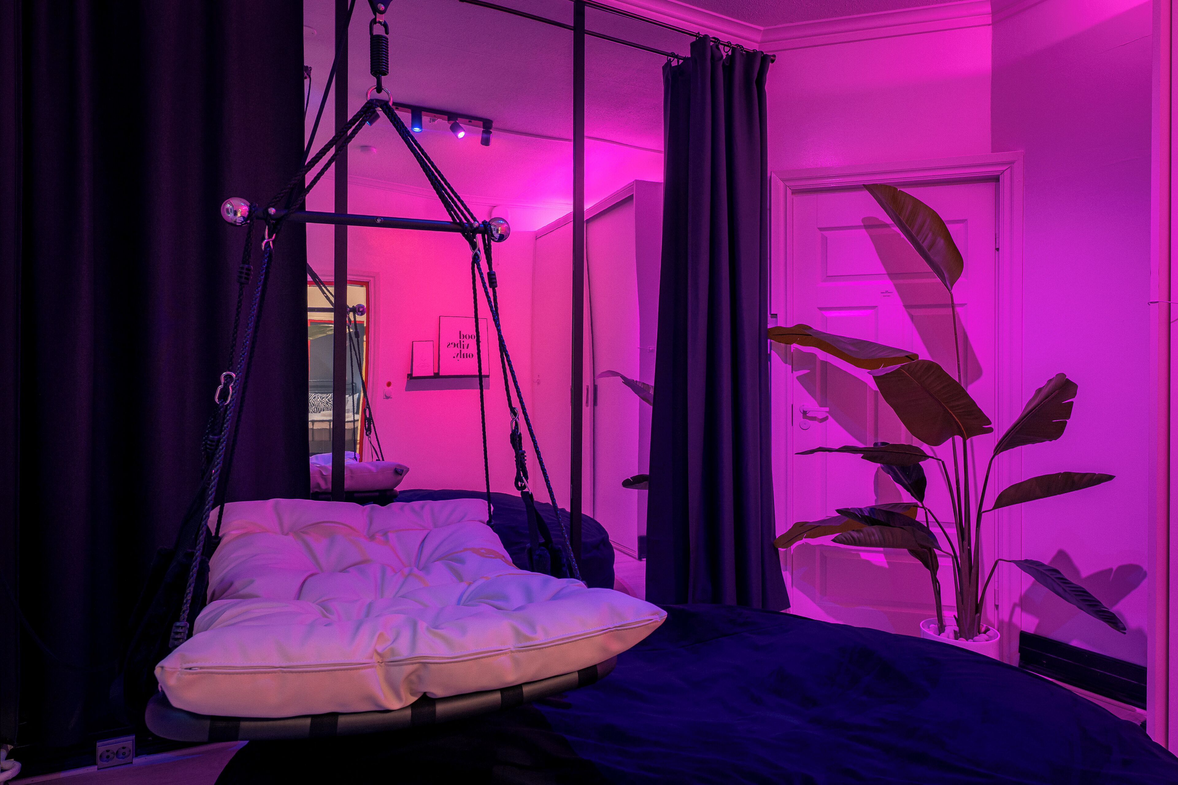 A room with a hanging chair, a bed, and a potted plant.