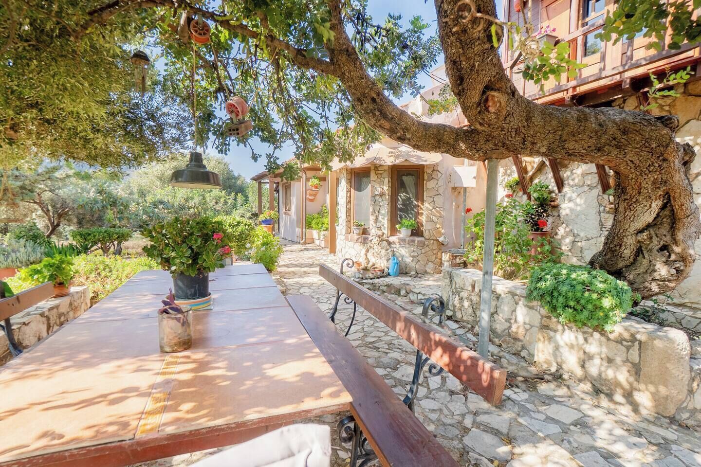 A stone-paved courtyard with a wooden table and benches, surrounded by potted plants and a large tree.