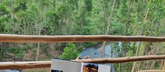 Tea-farm cottage by Aberdare forest & river - 2348