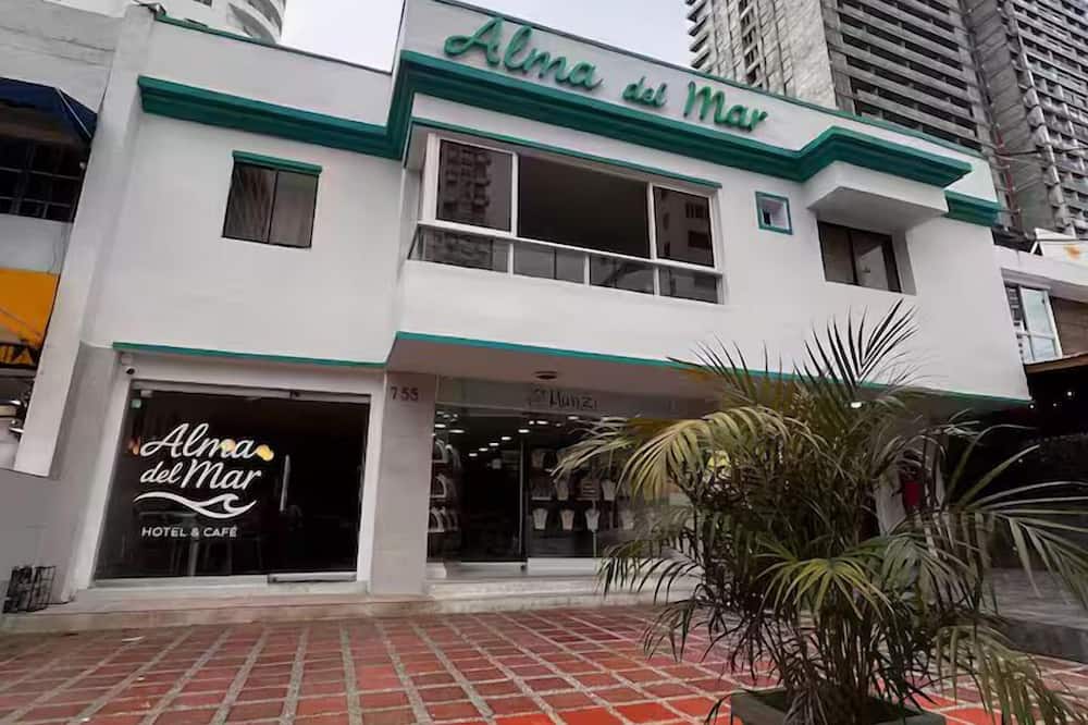 Alma Del Mar