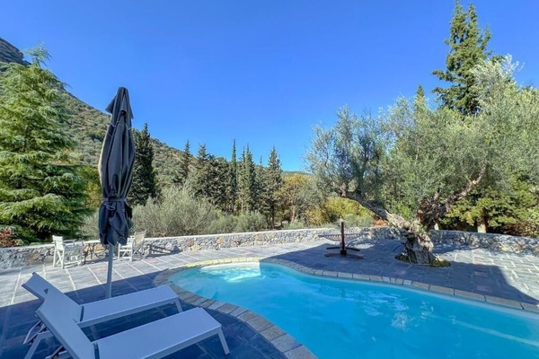 Sunlit poolside deck with forest vistas—your perfect morning coffee spot.