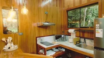 Een microgolfoven, een kookplaat