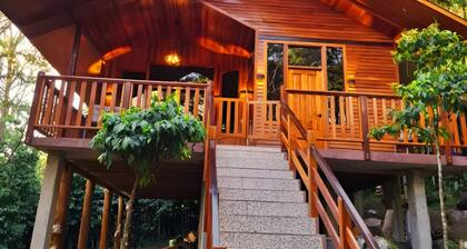 Cabin in the forest with a view. Kitchen, living room and laundry room. 5km from downtown