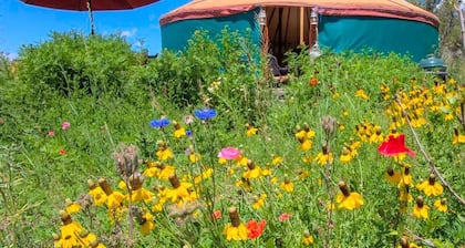 Original and Beautifully Furnished Yurt for a Romantic Getaway near Aspen, Colorado