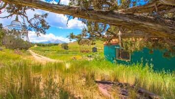 Un paysage rural avec un chemin de terre, un bâtiment vert et un grand arbre.