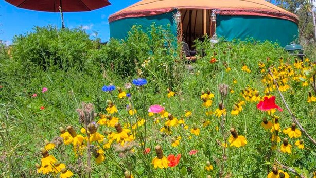 Uma iurte com exterior verde e telhado vermelho, rodeada por um campo de flores silvestres.