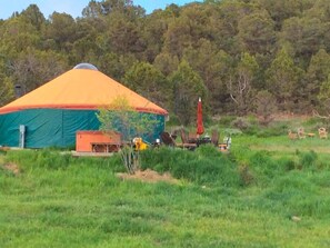 Una yurta con techo cónico, rodeada por un campo de hierba y árboles.