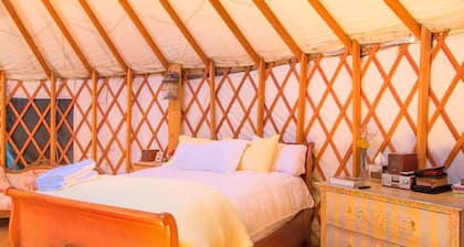 Original and Beautifully Furnished Yurt for a Romantic Getaway near Aspen, Colorado