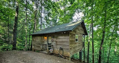 Tree Cabin with a Private Hot Tub near Nantahala National Forest in North Carolina