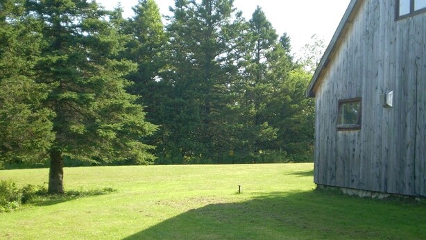 Property grounds - All Season Pet-Friendly Cabin Rental with Full Kitchen in the Northeast Kingdom of Vermont (Craftsbury Common)