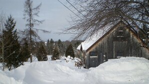 Exterior - All Season Pet-Friendly Cabin Rental with Full Kitchen in the Northeast Kingdom of Vermont (Craftsbury Common)