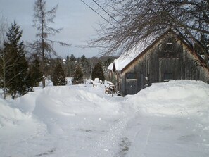 Exterior - All Season Pet-Friendly Cabin Rental with Full Kitchen in the Northeast Kingdom of Vermont (Craftsbury Common)