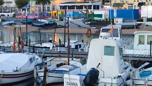 Un puerto deportivo con barcos amarrados, una torre destacada y diversos edificios al fondo.