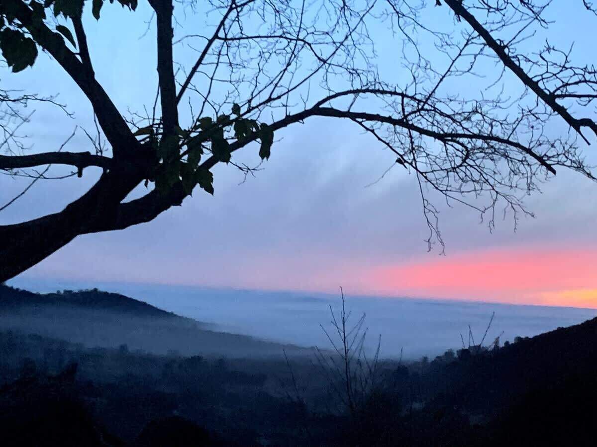 Une vue panoramique avec une branche d’arbre au premier plan et un horizon lointain.