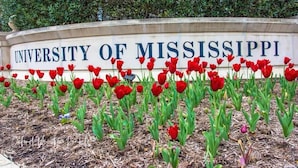 A sign for the University of Mississippi with red tulips in front. - Welcome to the 50 YARD LINE! (Oxford)