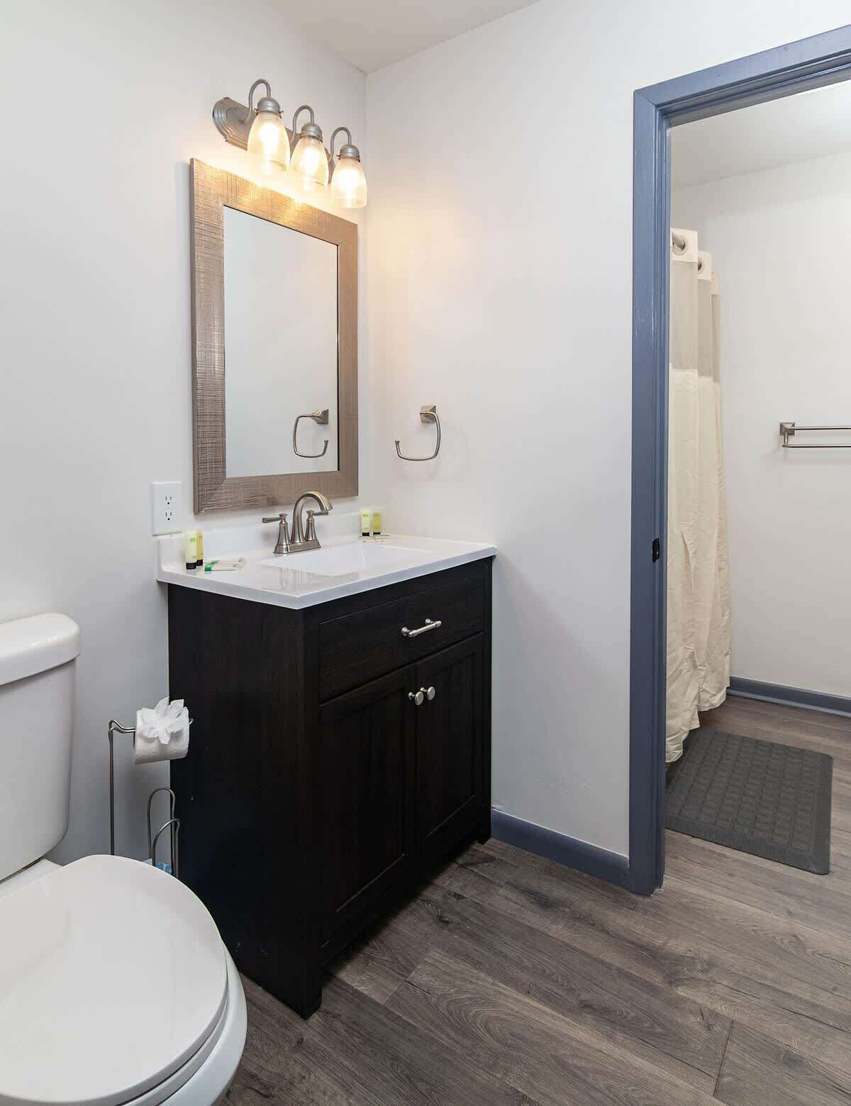 Ein Badezimmer mit Toilette in Weiß, einem dunklen Holzwaschtisch, einem beleuchteten Spiegel und einer Duschvorhang.