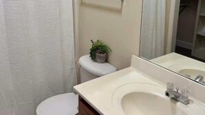 Une salle de bain comprenant des toilettes, un lavabo, un miroir, un rideau de douche et une petite plante en pot.