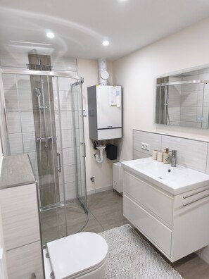 Shower, hair dryer, soap, toilet paper