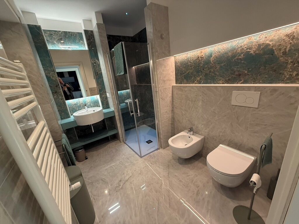 Shower, hair dryer, bidet, towels