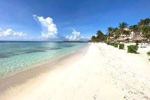 Nära stranden