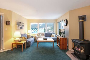 Televisión y chimenea 