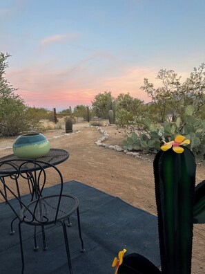 An outdoor seating area with a metal table and chairs, surrounded by desert vegetation and a cactus with a yellow flower.