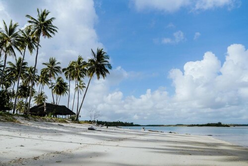 Feet-in-the-sand Bungalows Mafia Island - 2354