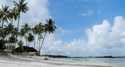 Feet-in-the-sand Bungalows Mafia Island - 2354