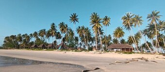 Feet-in-the-sand Bungalows Mafia Island - 2354