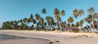 Feet-in-the-sand Bungalows Mafia Island - 2354
