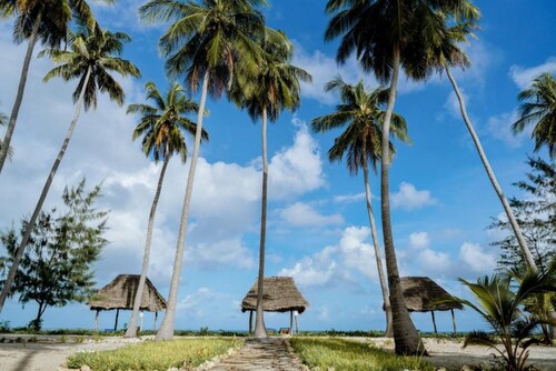 Feet-in-the-sand Bungalows Mafia Island - 2354