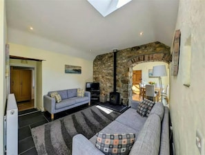 TV, fireplace, DVD player - Tan Y Bryn Y Beudy, Newport (Dinas Cross)