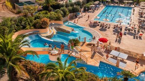 A large outdoor swimming pool with multiple lanes, surrounded by palm trees and a sandy area with lounge chairs. - Camping Village Rosselba Le Palme Mobilehome Comfort for 4 persons (Portoferraio)