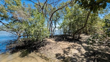 Basic Apartment | Miscellaneous