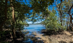 Basic Apartment | Miscellaneous - House w/ 2 Bedrooms 650 m From the Beach Adu0440 (Florianópolis)