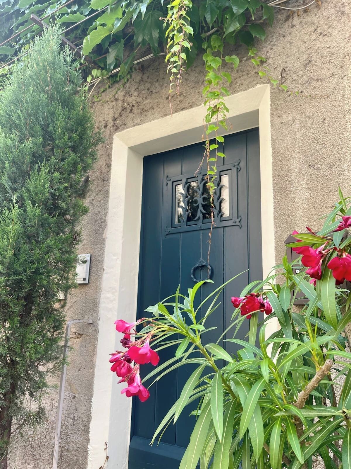 Detalle del exterior