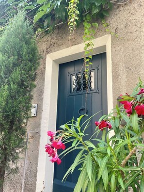 Exterior detail - Maison de Caractère | In the heart of Lourmarin (Lourmarin)