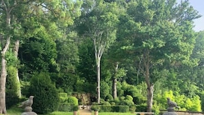 Una piscina rectangular con barandillas de piedra, rodeada de abundante vegetación y árboles.