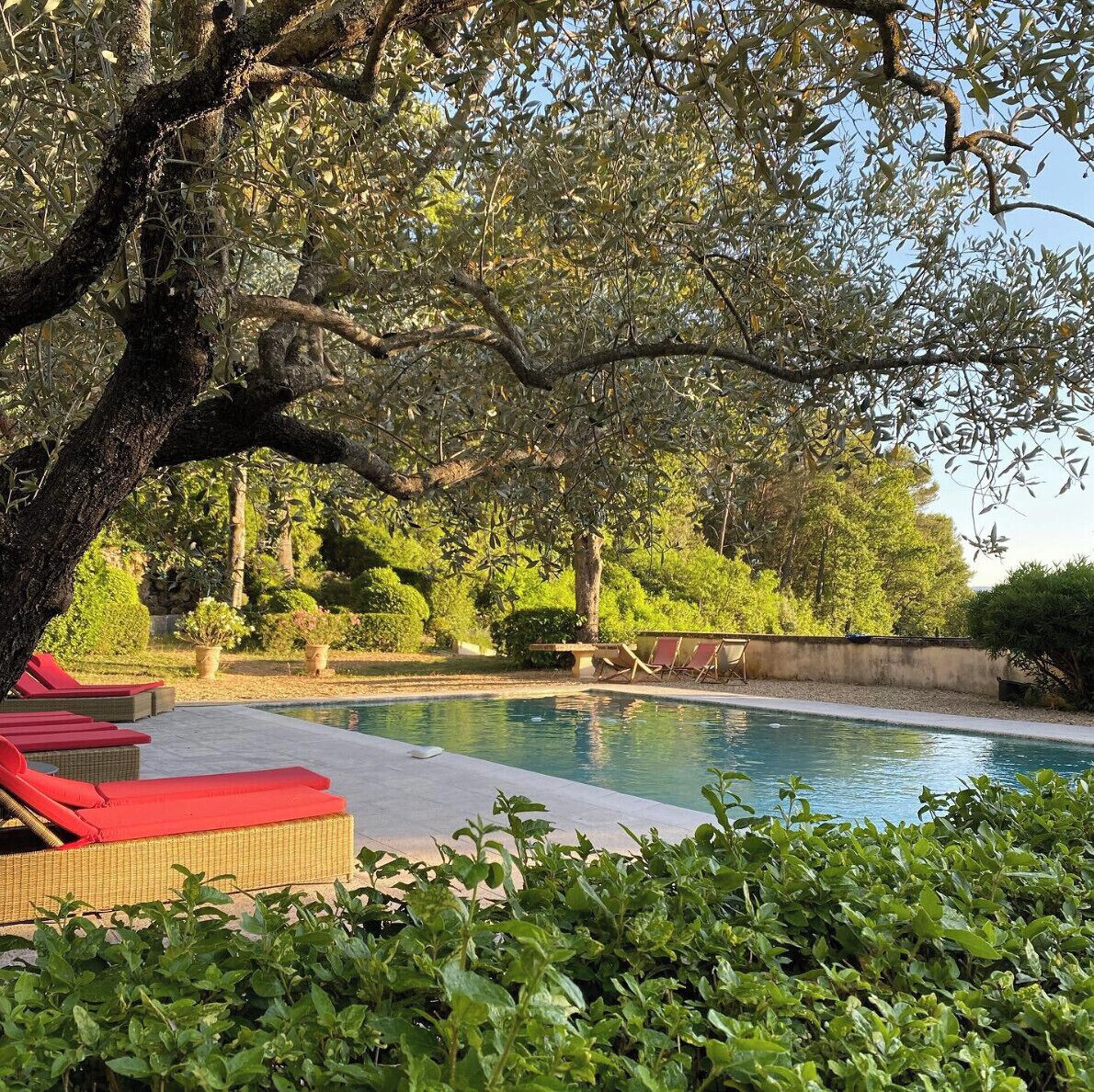 Et poolområde med liggestole, en swimmingpool og grøn bevoksning omkring.