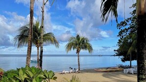 Ein Strand mit Palmen, Liegestühlen und einem Boot im Wasser.