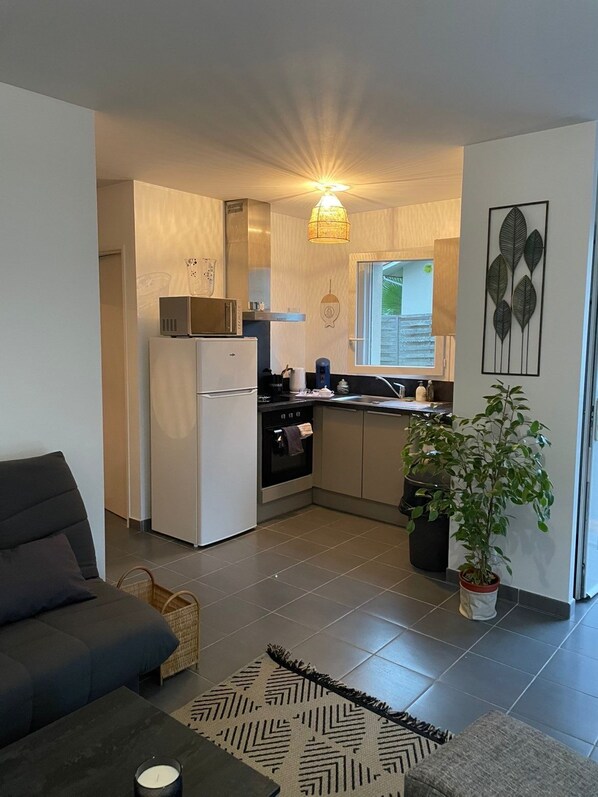 تلفزيون ذكي