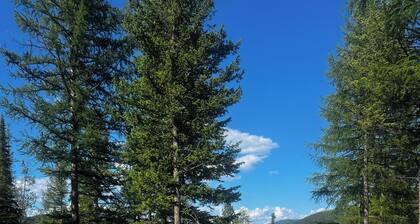 Cottonwood Cottage—Lakefront on Ashley Lake Montana with Dock! Kalispell-Glacier