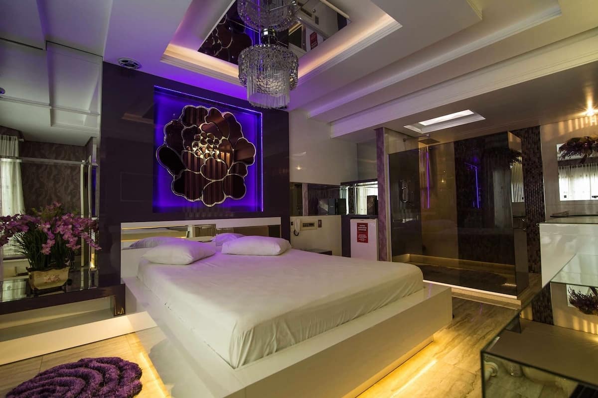 Deluxe Suite, Private Bathroom | Minibar, iron/ironing board (on request), WiFi (free)