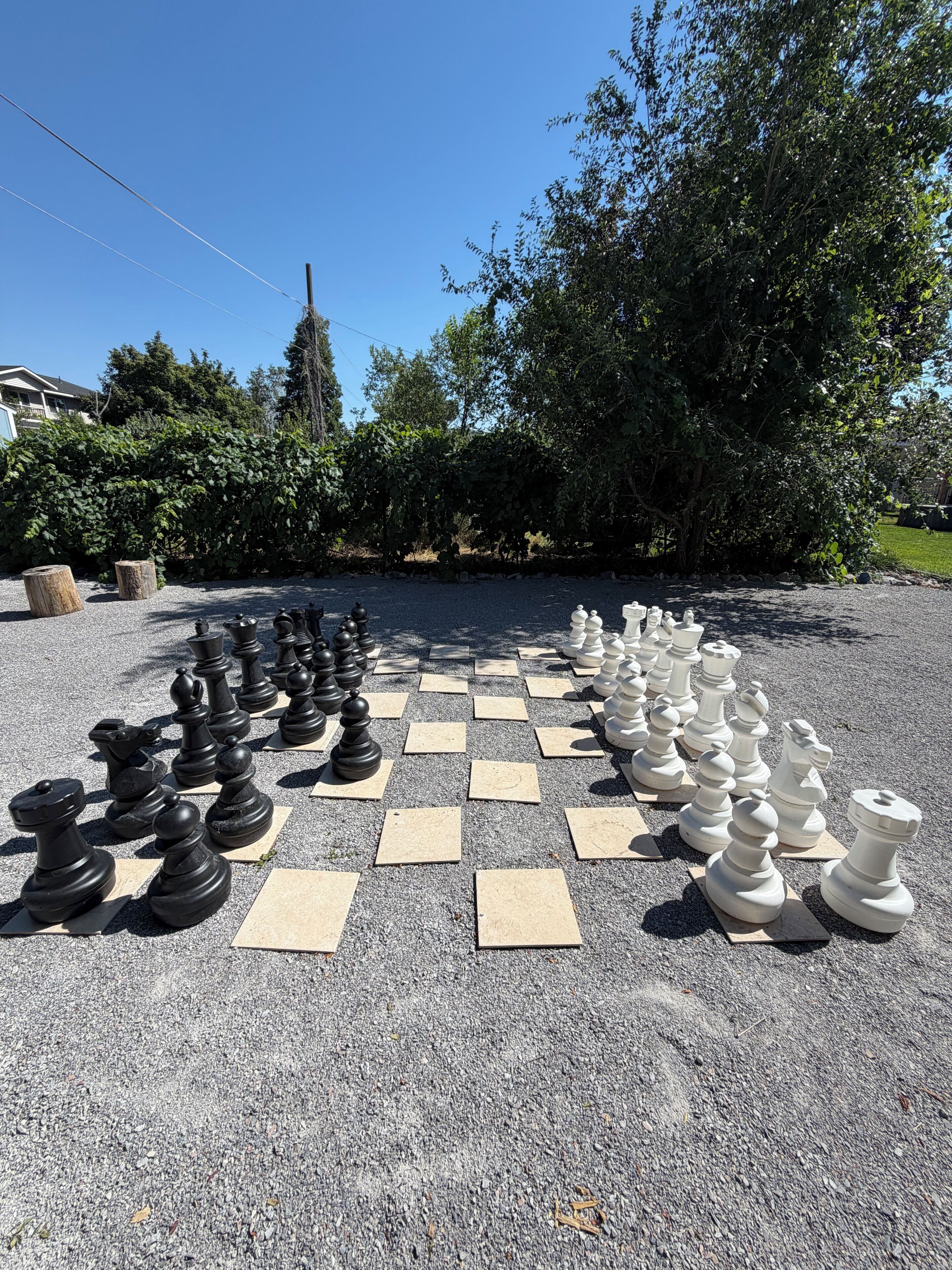 Un jeu d’échecs installé à l’extérieur, avec des arbres et un bâtiment en arrière-plan.